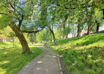 Ścieżka pomiędzy drzewami i zielenią