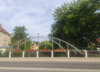 Kompozycja kwietna na terenie miasta.